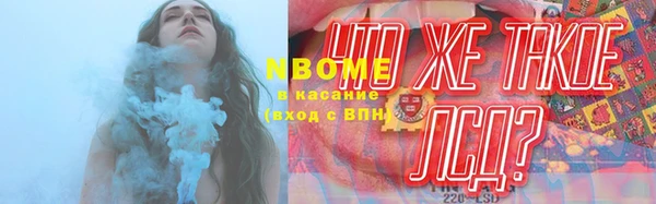 шишки Ессентукская
