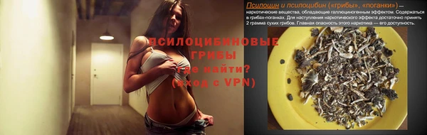 ГАЛЛЮЦИНОГЕННЫЕ ГРИБЫ Магас